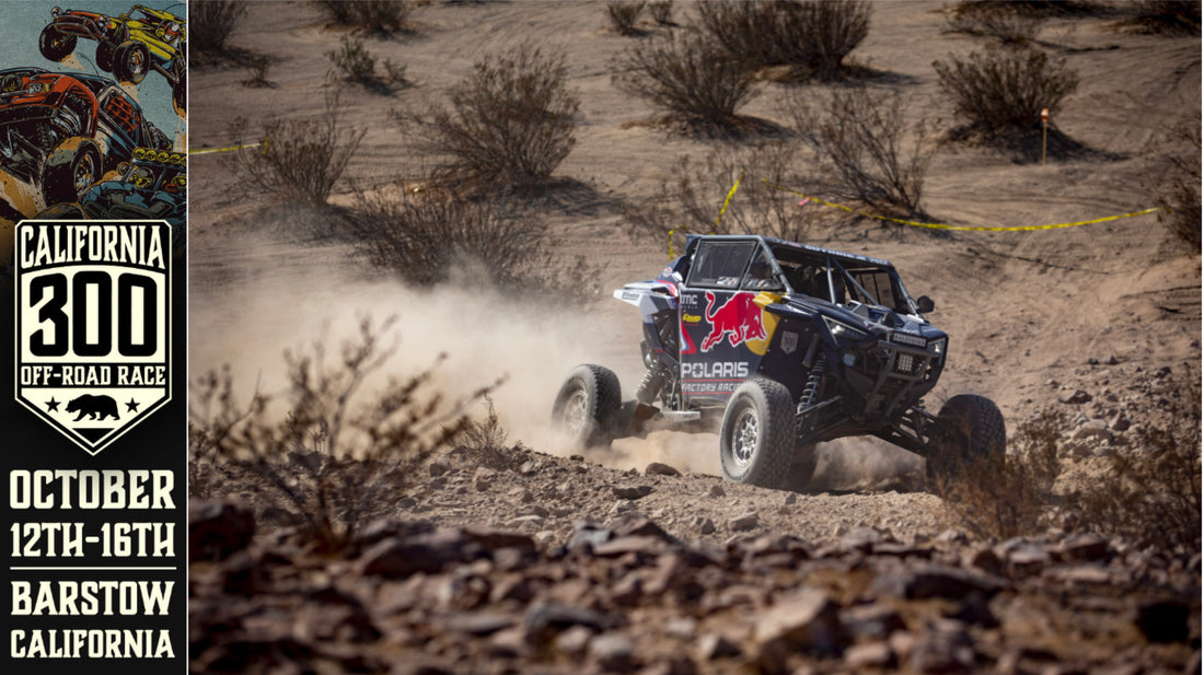 Shock Therapy continues to deliver market-leading, race-proven products