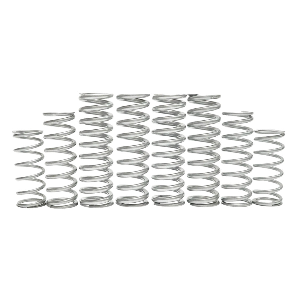 Kawasaki Teryx H2 Dual Rate Spring Kit