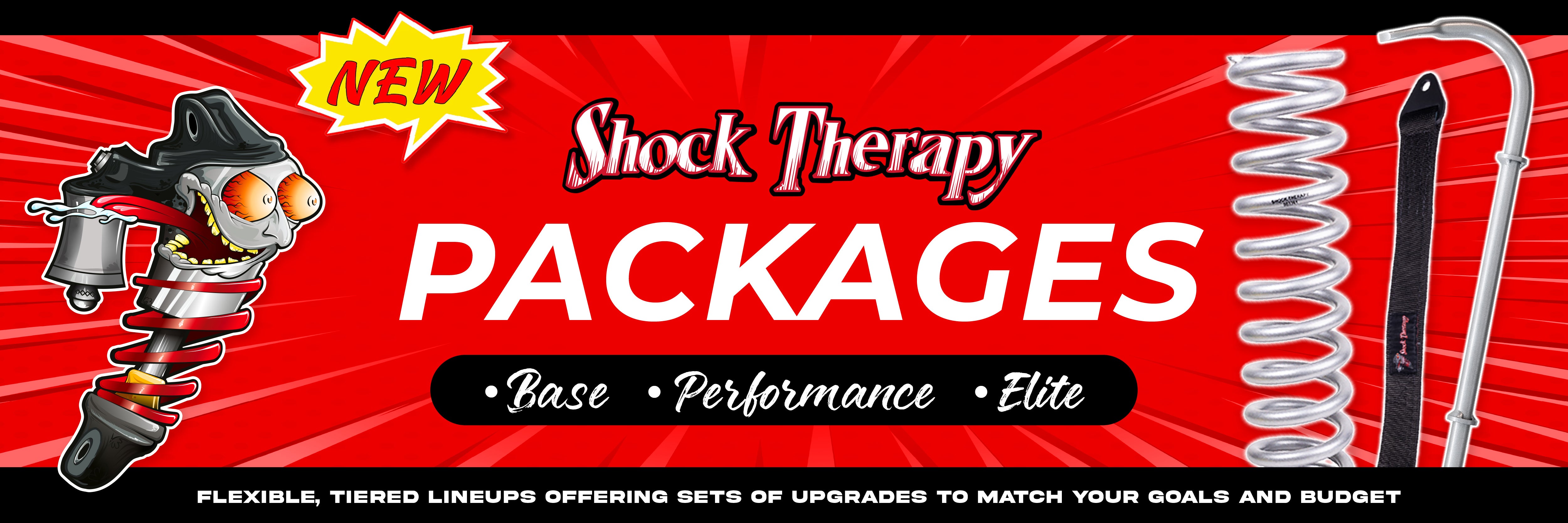 The Premier Suspension Tuning Company – Shock Therapy