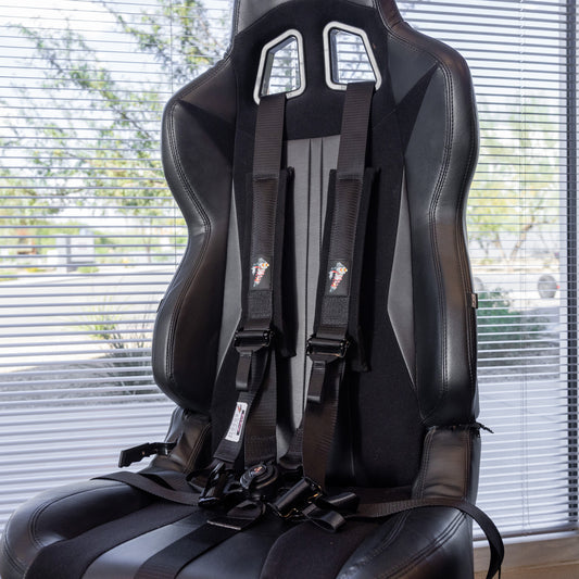 Shock Therapy 2.0" 5-Point Camlock Harness