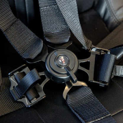 Shock Therapy 2.0" 5-Point Camlock Harness