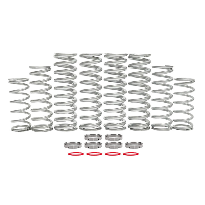 Polaris RZR Pro XP Dual Rate Spring Kits – Shock Therapy