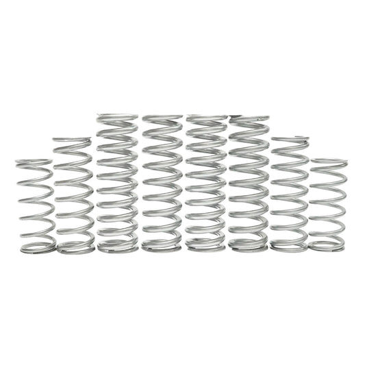Kawasaki Teryx H2 Dual Rate Spring Kit
